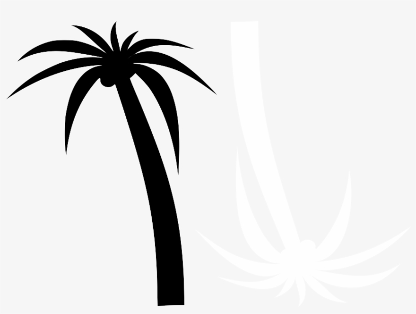 Transparent My Editcollage - Palm Tree Clip Art, transparent png