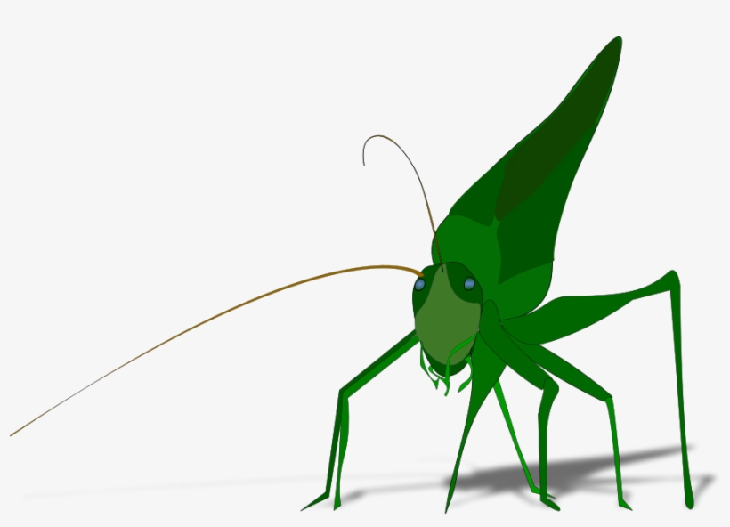 Grass Clipart, Vector Clip Art Online, Royalty Free - Grasshopper Clipart, transparent png