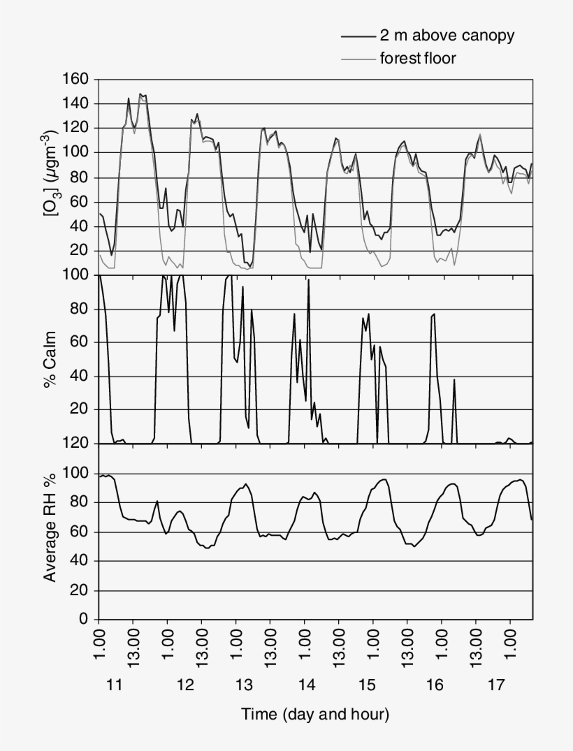 Daily Variation Of O 3 Concentration 2 M Above The - Number, transparent png