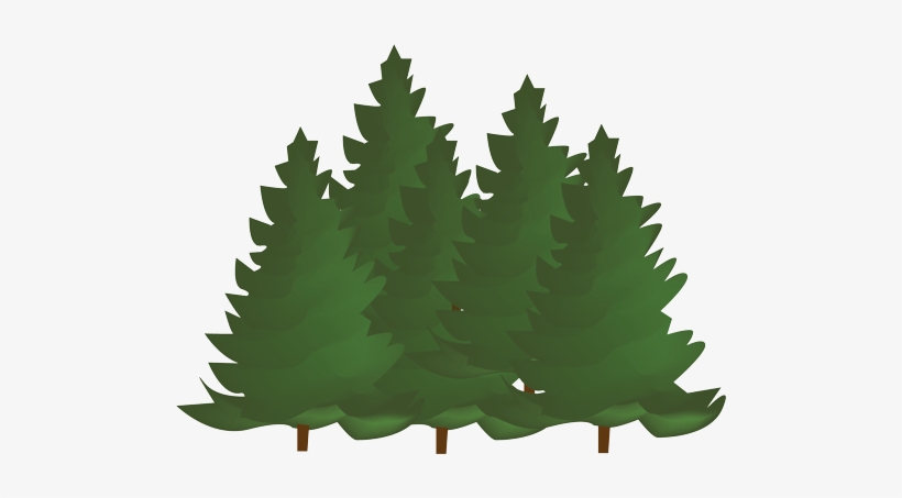 Activity Program - Colorado Spruce, transparent png