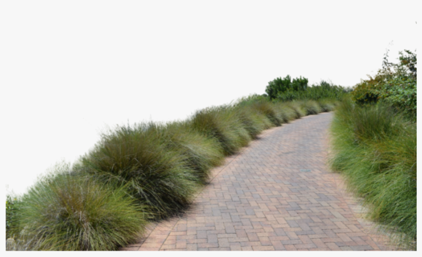 Go To Image - Grass Path Png, transparent png