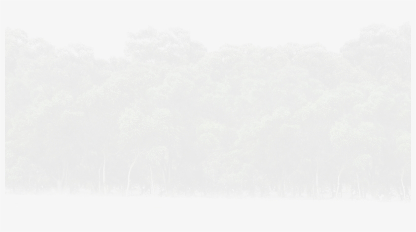 Tableware, transparent png