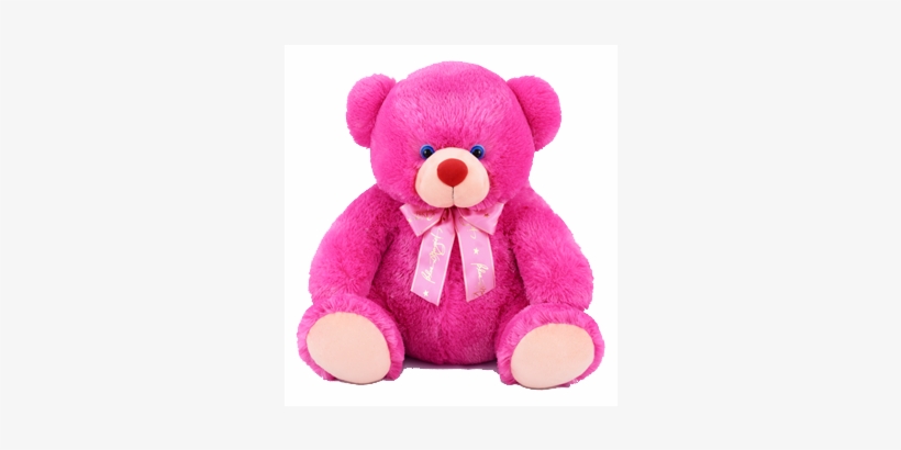 1 Feet Giorgio Magic Bear - Cebu, transparent png