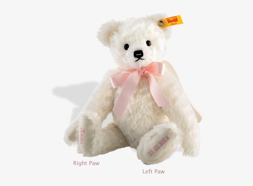 Steiff Bear - Teddy Charlie Bear Pink, transparent png