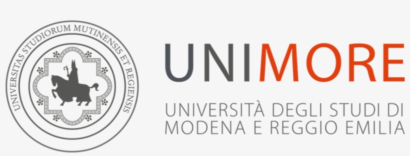 Competencies And Functions Of Territorial Authorities - University Of Modena And Reggio Emilia, transparent png