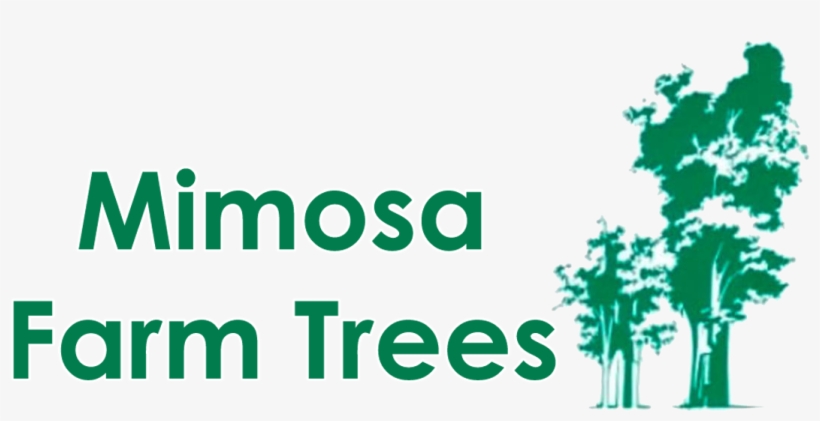 Spiritual Warfare: How To Pray - Intercessory Prayer, transparent png