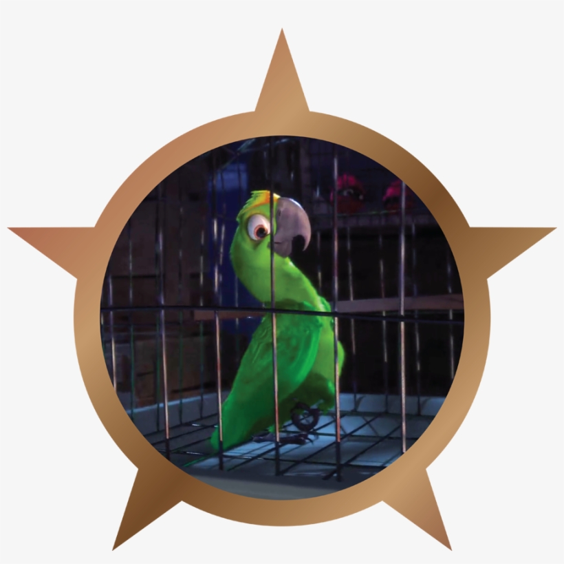 Crazy Bird - Bronze, transparent png