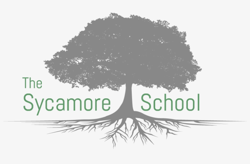 Sycamore School - White Pine, transparent png