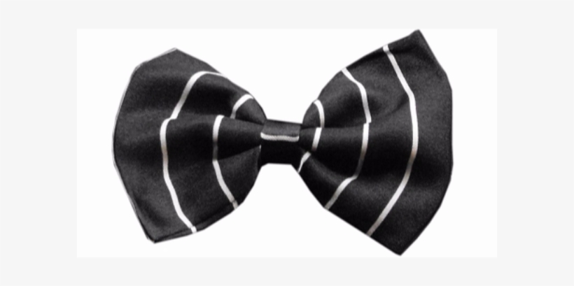 Dog Bow Tie Pinstripes By Mirage - Dog Bow Tie Pinstripes, transparent png
