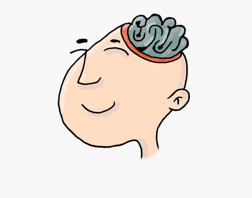 Play Stimulates Cognitive Development , Which Has A - Cognitive Development Clipart Png, transparent png