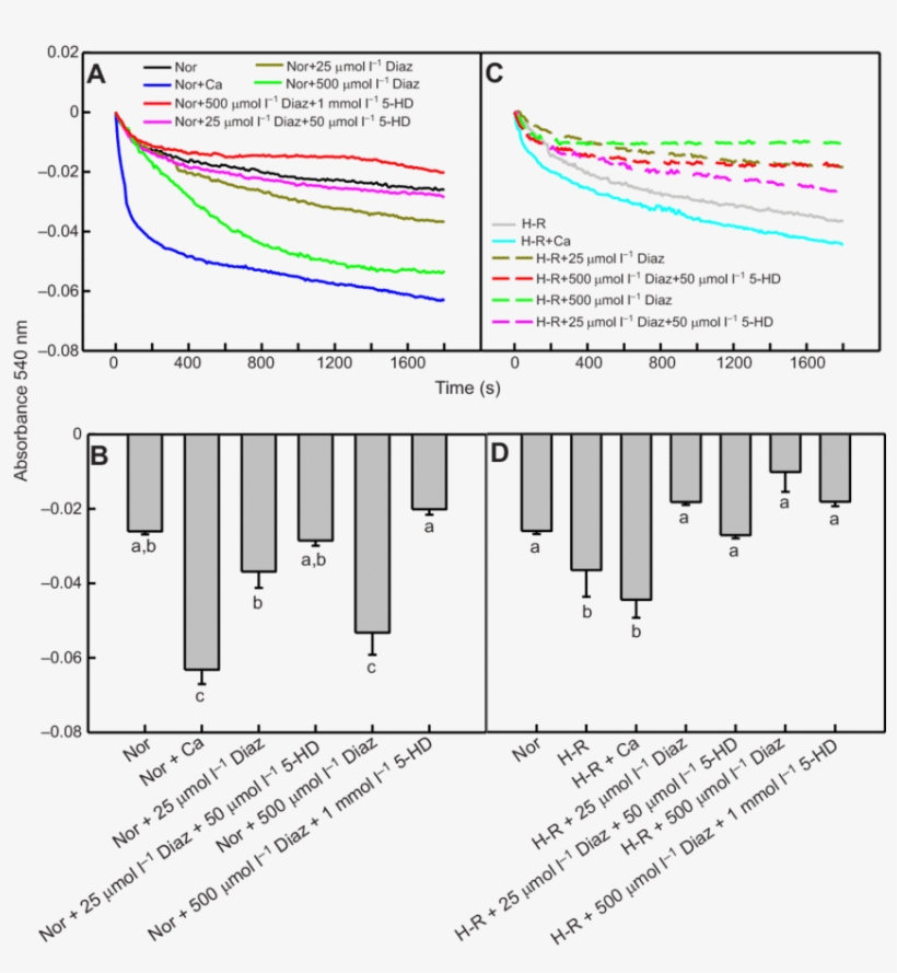 The Effects Of Diazoxide And 5 Hd On Mitochondrial - Swelling, transparent png