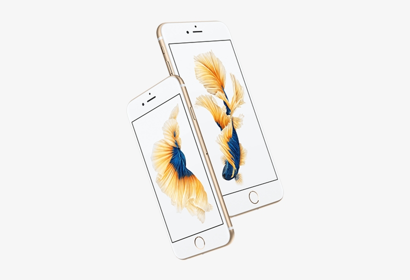 And A Distinctive New Rose Gold Finish Joins The Existing - Pay As You Go Iphone 6s Plus Silver, transparent png