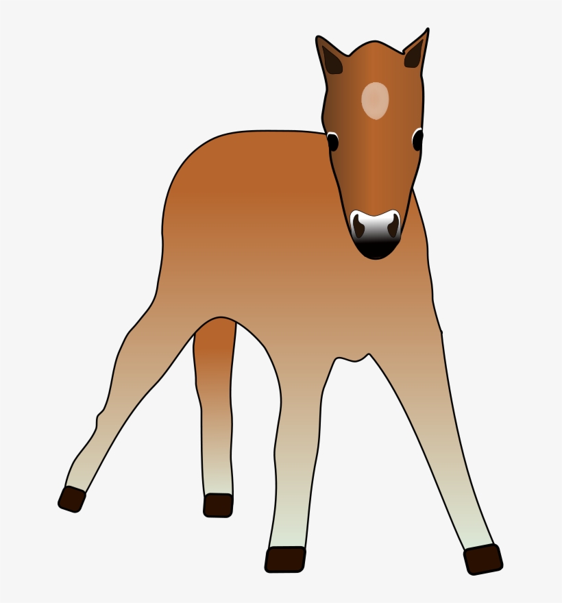 Young Foal Png Images 488 X - Foal Clipart, transparent png