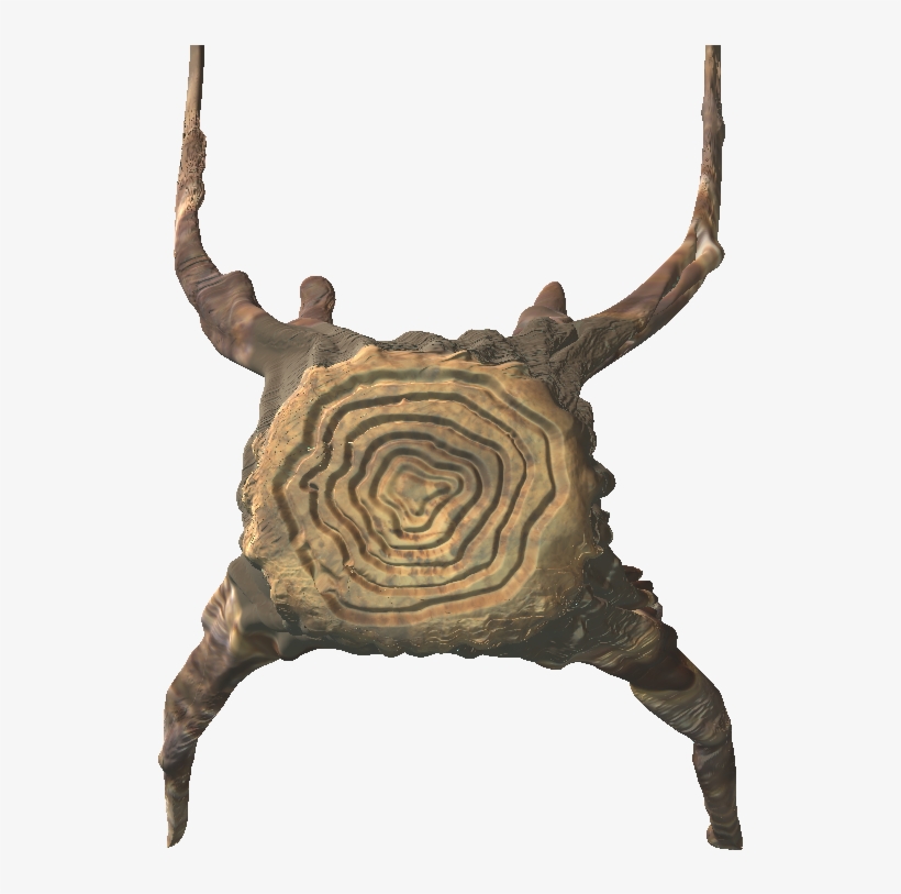 Top View Tree - Adobe Photoshop, transparent png