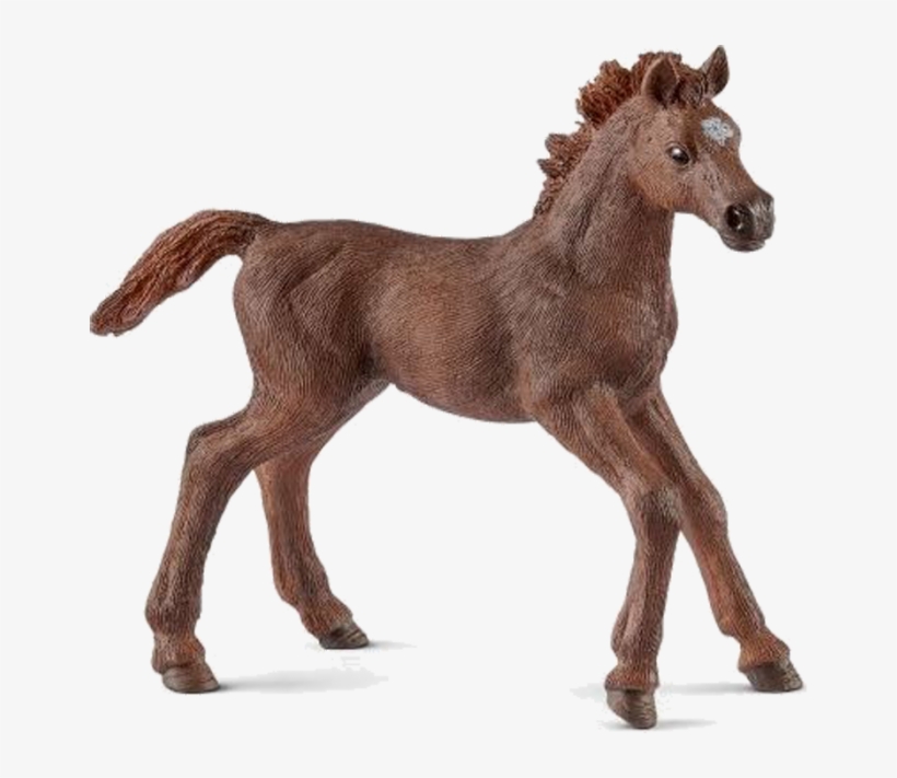 Schleich 13857, transparent png