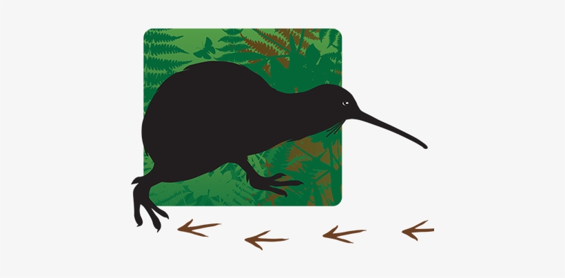 'follow The Kiwi' Monthly Sponsorship - Hummingbird, transparent png