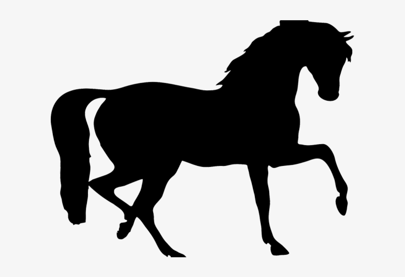 Foal Clipart Small Horse - Daryl The Pony Of Love, transparent png