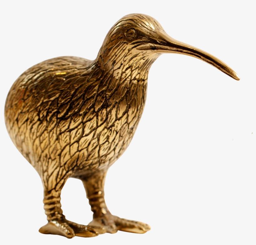 More Views - Kiwi, transparent png