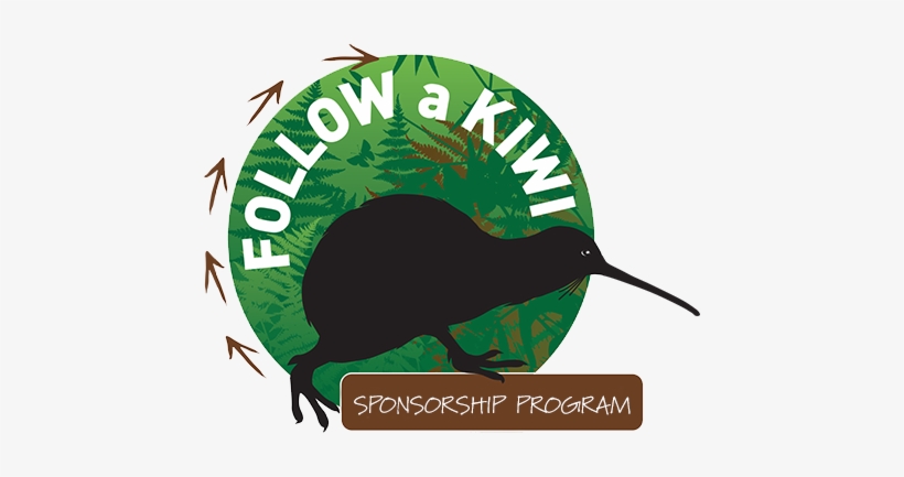 We Like To Keep A Really Close Eye On Kiwi Released - Illustration, transparent png