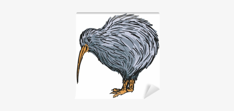 Bird Facts, transparent png