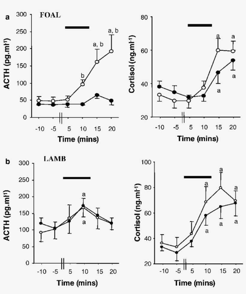Pituitary-adrenal Responses To Acute Hypotensive Stress - Diagram, transparent png