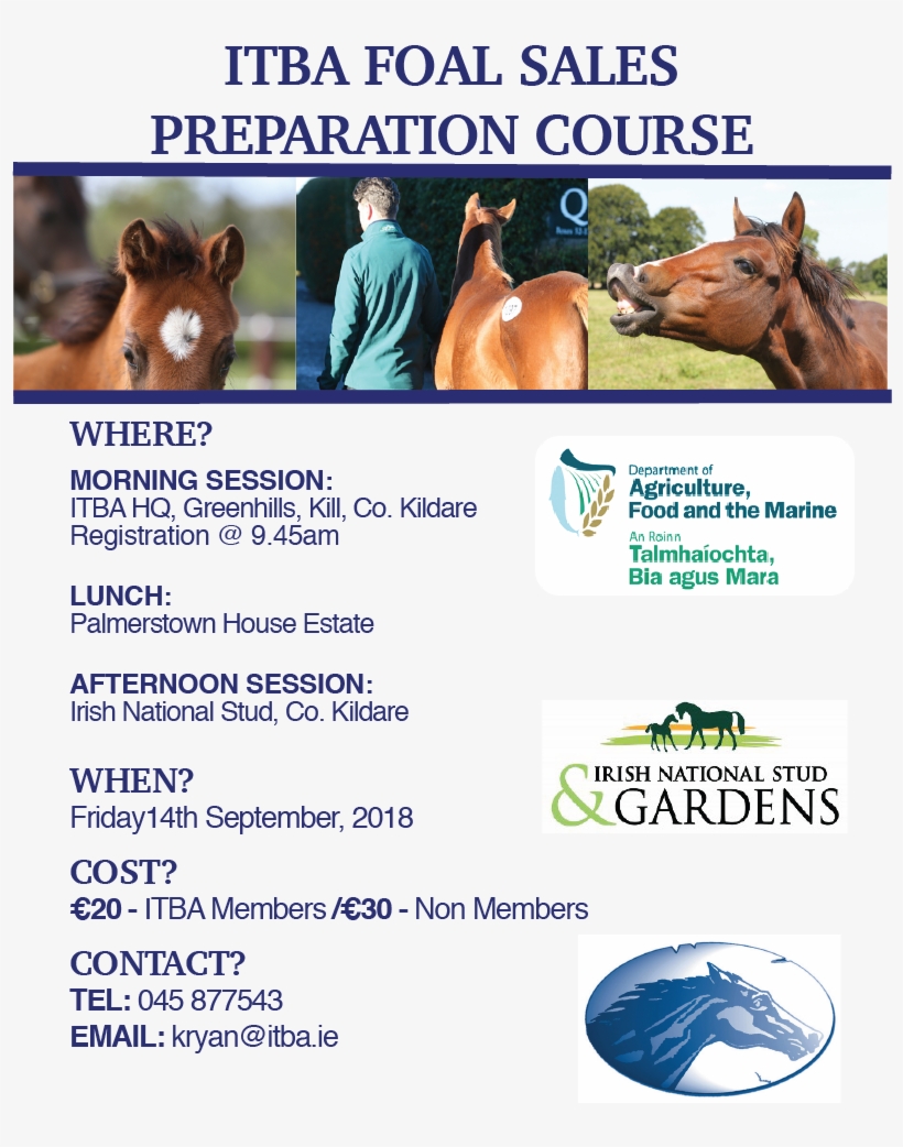 Superb Line Up Of Industry Experts - Irish National Stud, transparent png