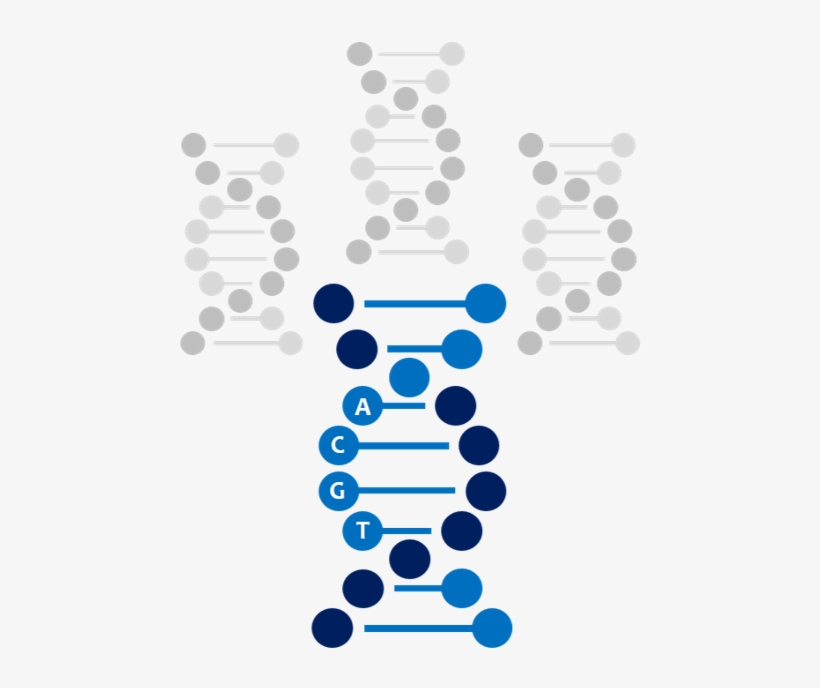 Overview - Espiral Adn Icono, transparent png