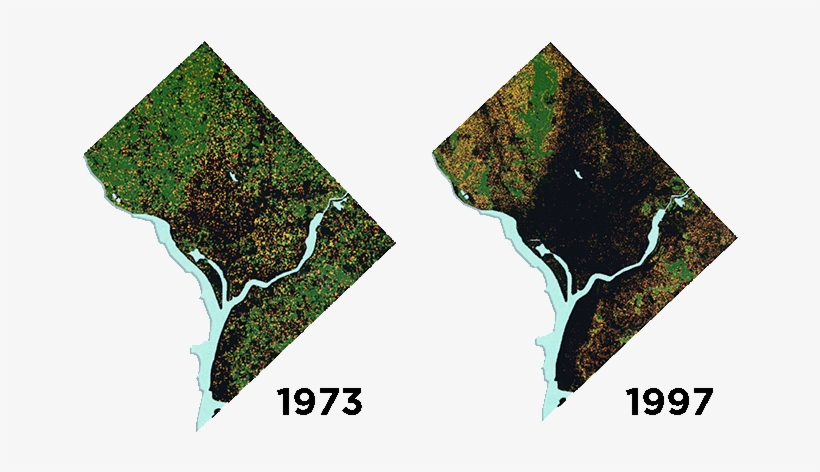 Aerial Images Of Dc From 1973 And - Casey Trees, transparent png