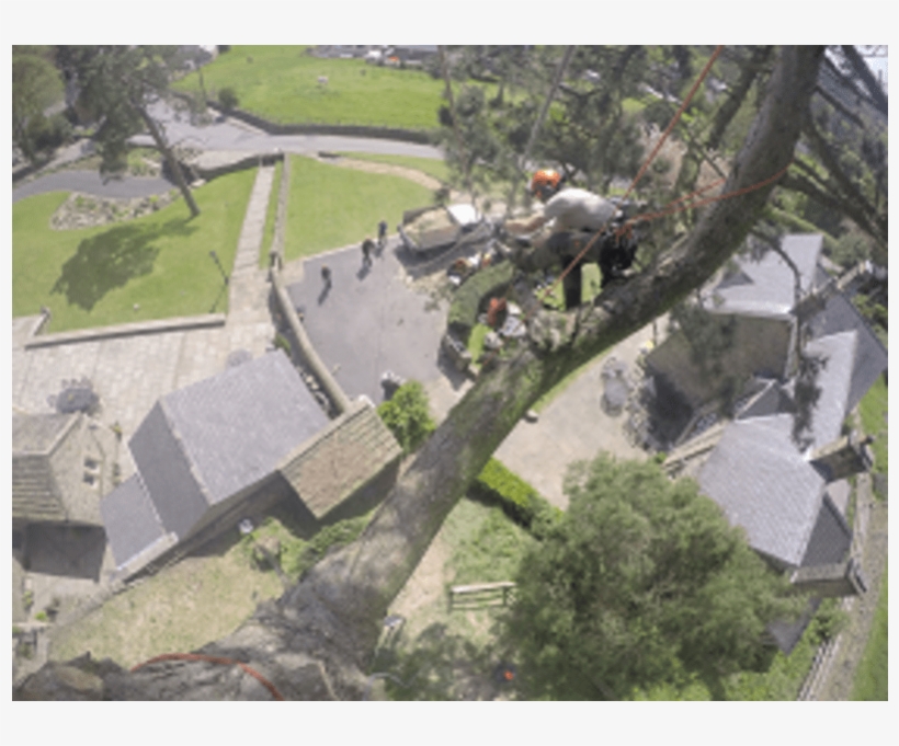 Aerial Photography, transparent png