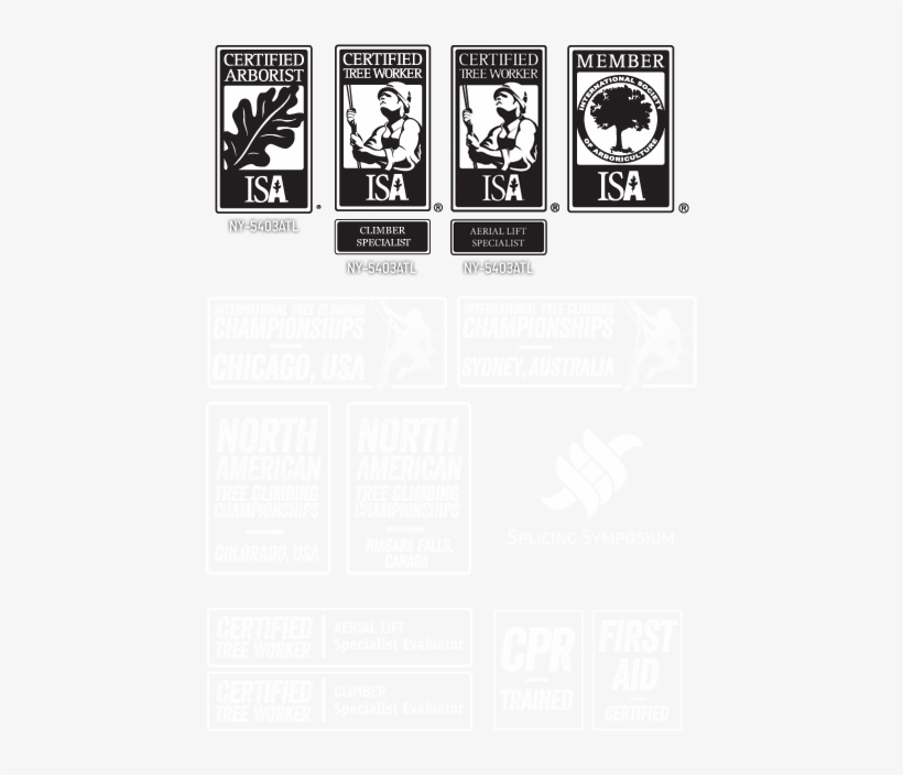 Named - Cartoon, transparent png