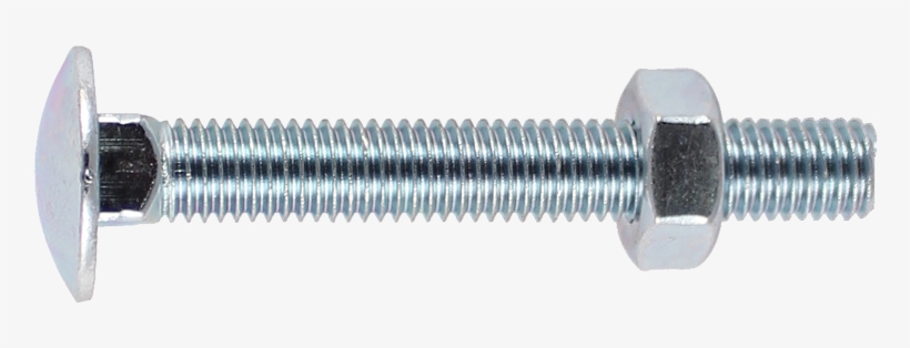 Carriage Bolts & Nuts - Timco 16100cb Carriage Bolt & Hex Nut - Bzp 16.0, transparent png