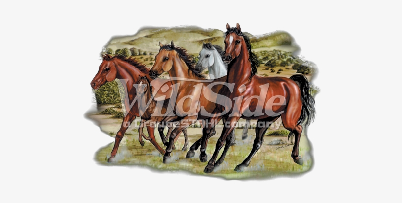 Four Running Horses - Horse, transparent png