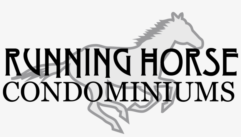 Horse, transparent png