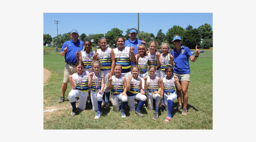 2018 Area 2 10u District Champion Peachtree Annual, transparent png