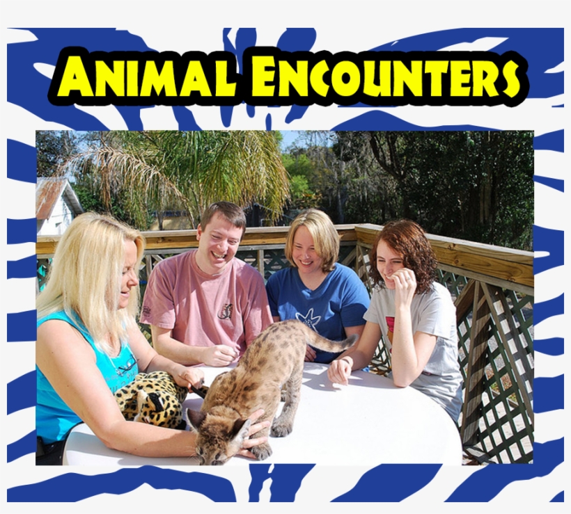 Animal - Vacation, transparent png