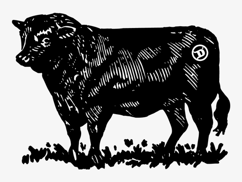 Meet Our Cow She's A Beauty We Call Her 'neni' Which - Delmonico By Kitchen And Bar, transparent png