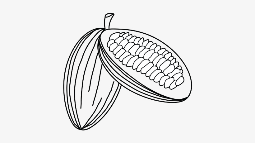 Cocoa - Kakaobohne Png, transparent png