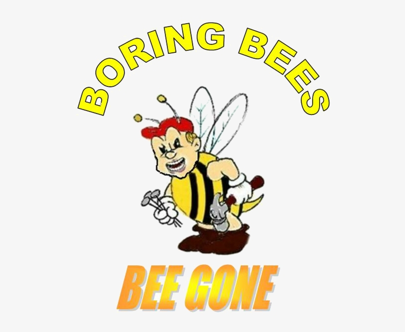 Ideas For These Traps Were Researched 6 Years Ago To - Cartoon, transparent png