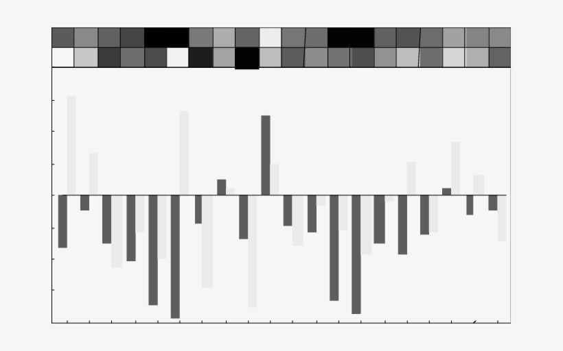 Encoding Matrix Found By An Acn - Musical Keyboard, transparent png