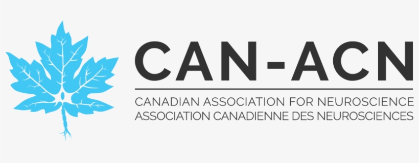 Association Canadienne Des Neurosciences - Canadian Association For Neuroscience Logo, transparent png