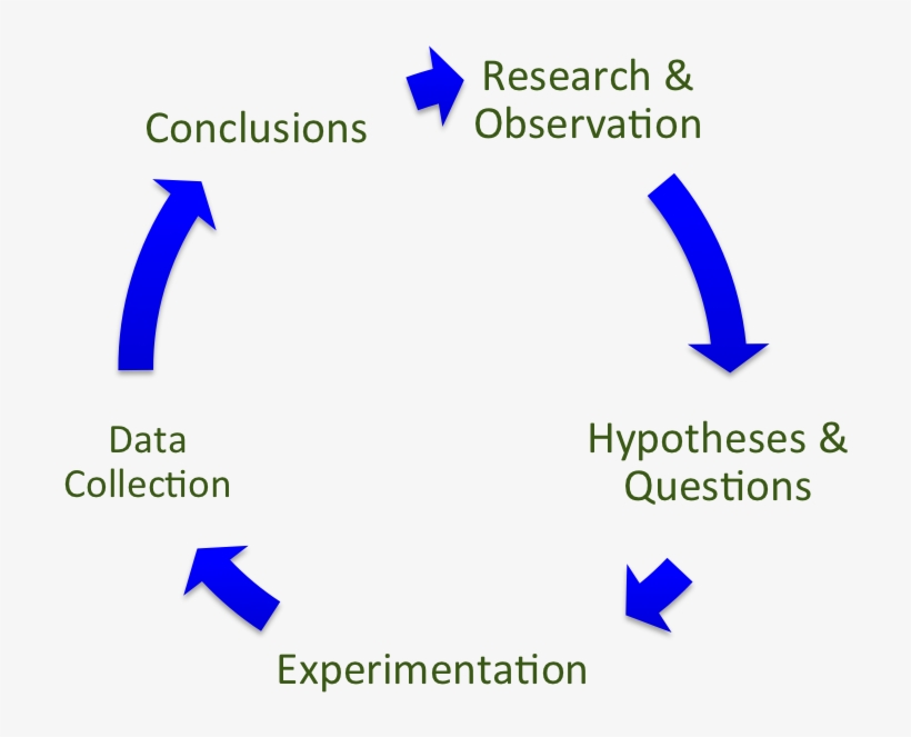 Evidence And Argumentation - Search Engine Optimization, transparent png