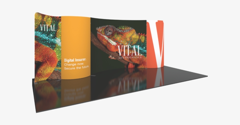 Modulate 20ft Fabric Backwall Kit - Discover Science: Animal Disguises, transparent png