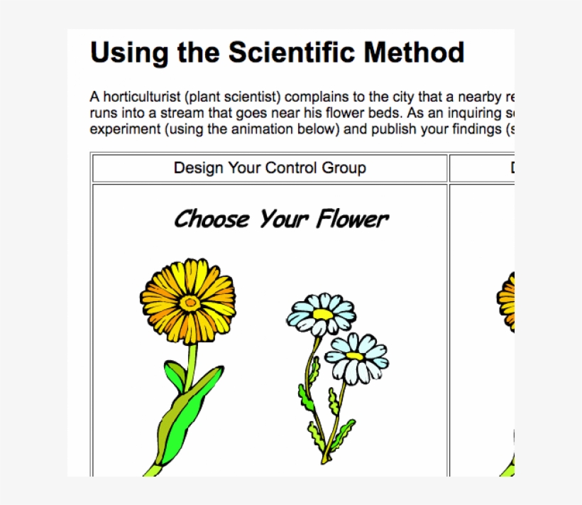 Coloring Pages, transparent png