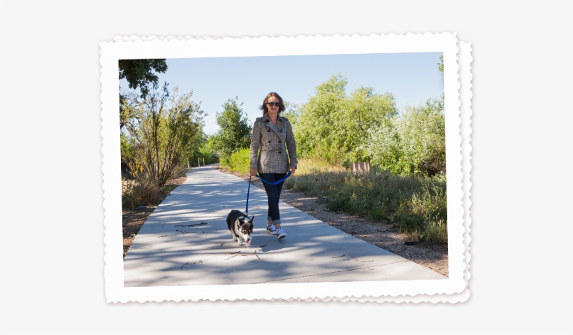 1 - Dog Walking, transparent png