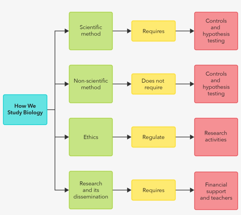 How We Study Biology - Statistical Graphics, transparent png