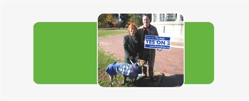 Christinecareyzoe-web - Whippet, transparent png