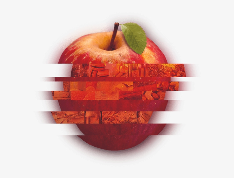 Look Deeper - Sial Canada 2018, transparent png