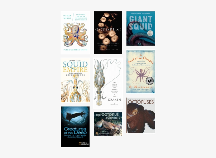 Squid Empire - The Rise And Fall, transparent png