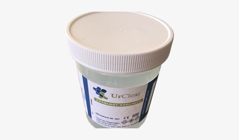 Bee, transparent png