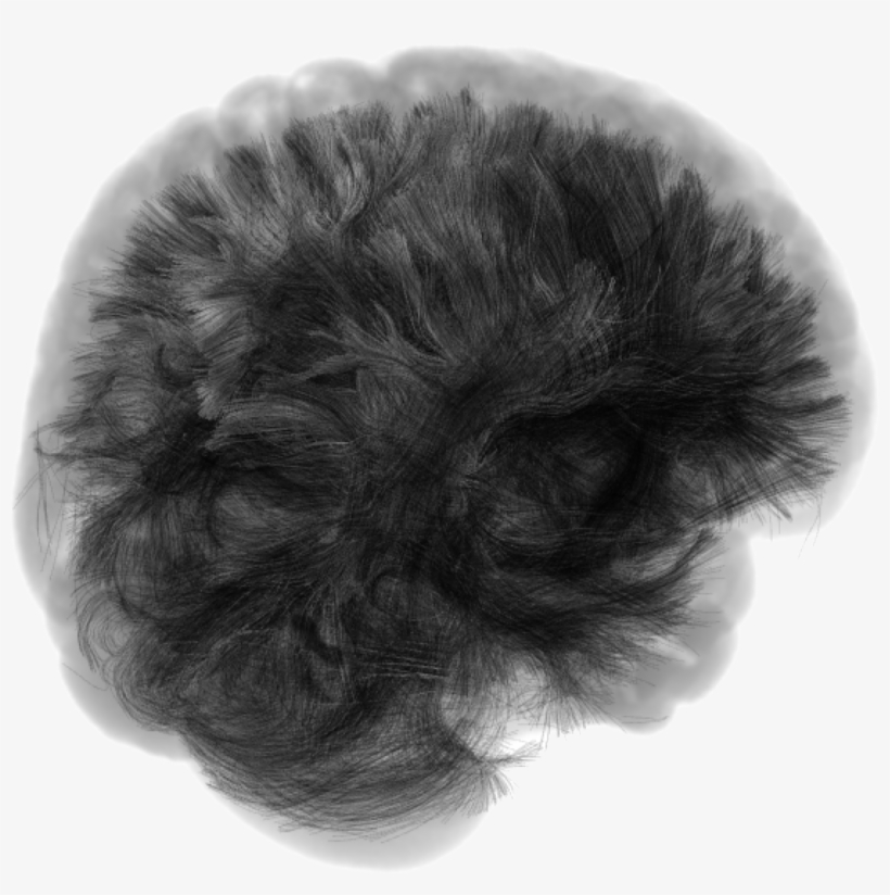 Allbw - Lace Wig, transparent png